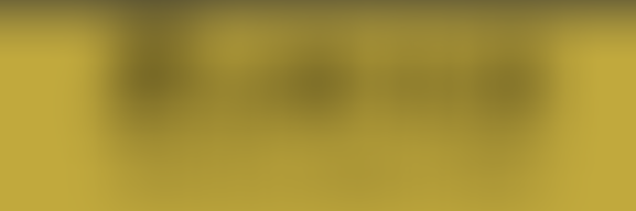 燃烧自我 温暖大地: 联合国朱正东基金会朱正东执行主席 2024年1月17日