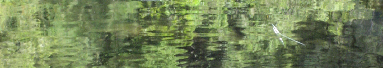 Submersion Stoney Creek May 2007