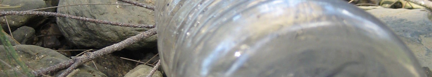 Submersion Stoney Creek May 2007