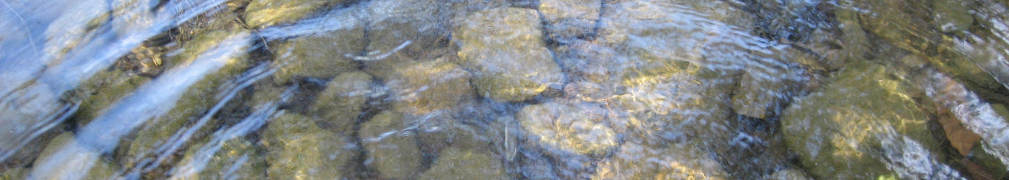 Submersion Stoney Creek May 2007