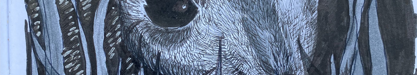 Inktober 07 Shy 2017.jpeg