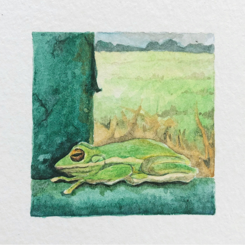 Lowther_Green Tree Frog on a Green Fence.jpg
