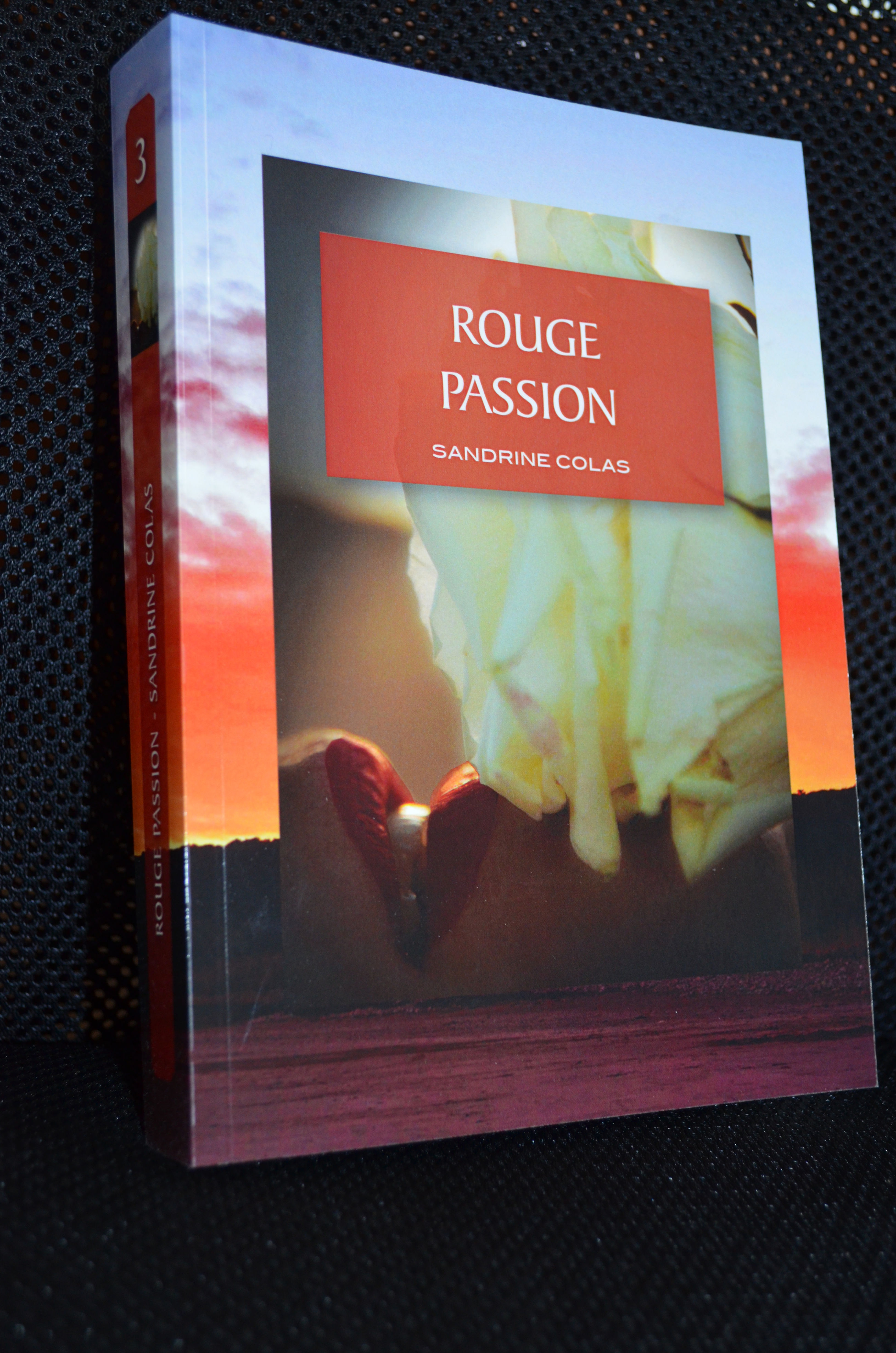 Rouge Passion - Livre 3 - Numérique