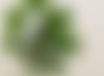 NMPA Notice on Issuing the Provisions for the Filing Dossier of Toothpastes (Draft for Comments)