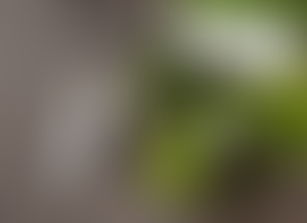 Analysis of Cosmetic Labeling Compliance (9)