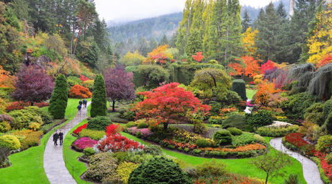 Land Reclamation-Sunken Garden at Butchart Garden