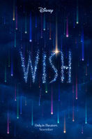 wish.jpeg