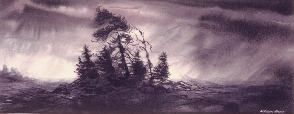 Tempête 3001 sur l'île Pine