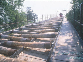 #4 Paddling Pic: Free Rides!