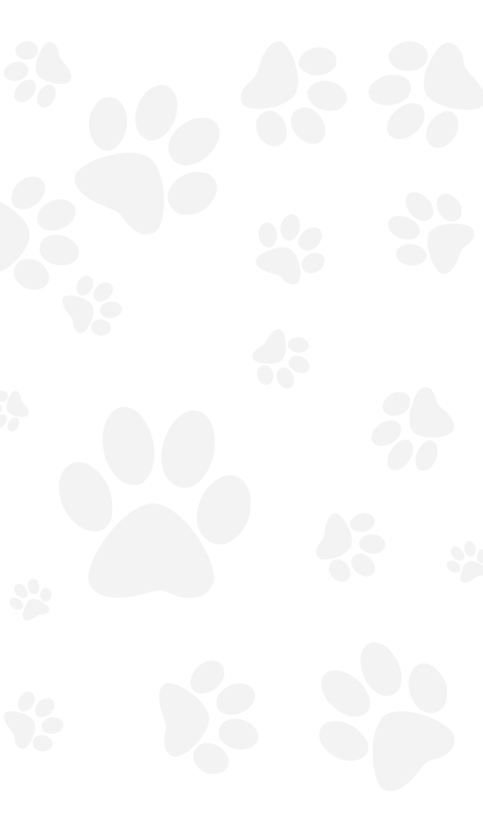 footprintbackground.png