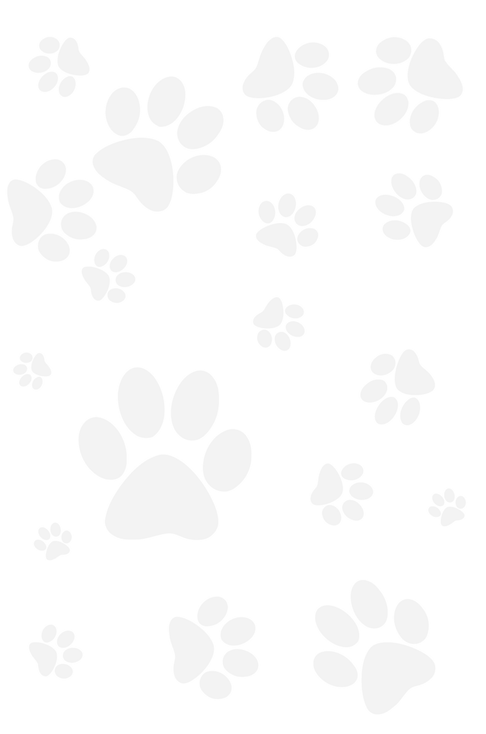 footprintbackground.png