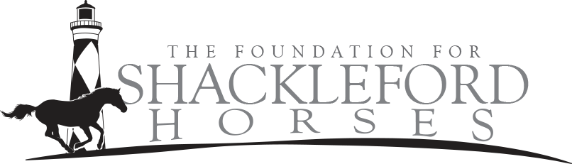 The Foundation for Shackleford Horses logo