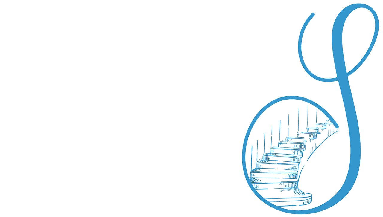 Logo S bkg.png