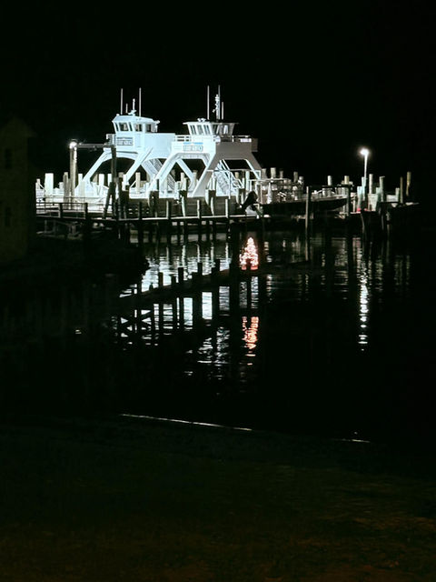 Miss Brenda & Miss Tempie at night