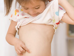 The Importance of the Gut