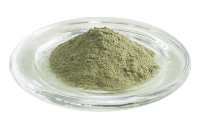 Bacopa