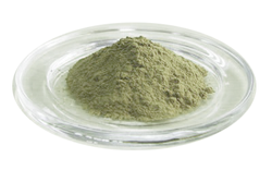 Bacopa