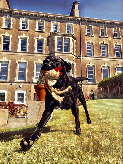 23736264_10155581829660465_1319085480110