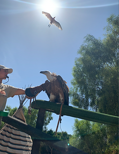 Screen Shot 2019-10-26 at 20.53.58.png