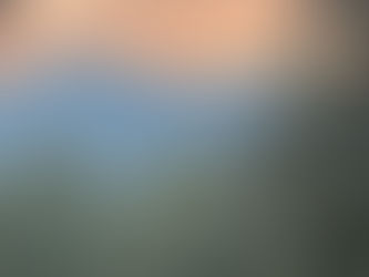 How to Decorate a Chic Montana Mountain Wedding: A Bride’s Guide to Effortless Luxury