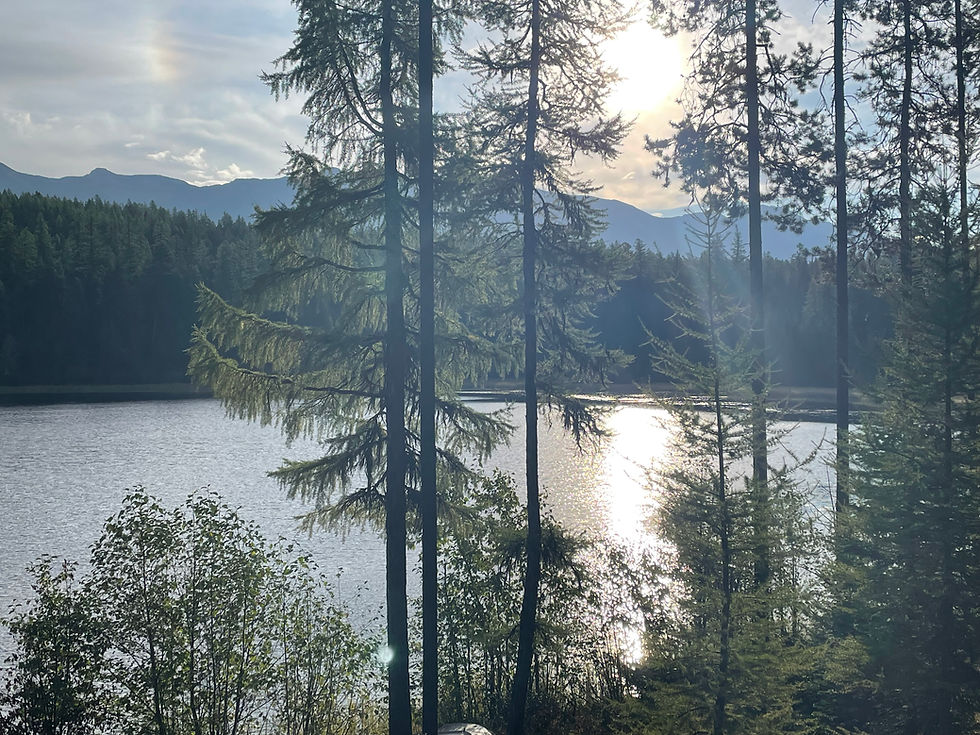 You're engaged, now what? Get ready to create your dream wedding near Missoula, Montana!