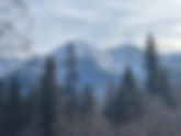 Why 2027 Wedding Couples Are Choosing Montana Over Destination Weddings Abroad