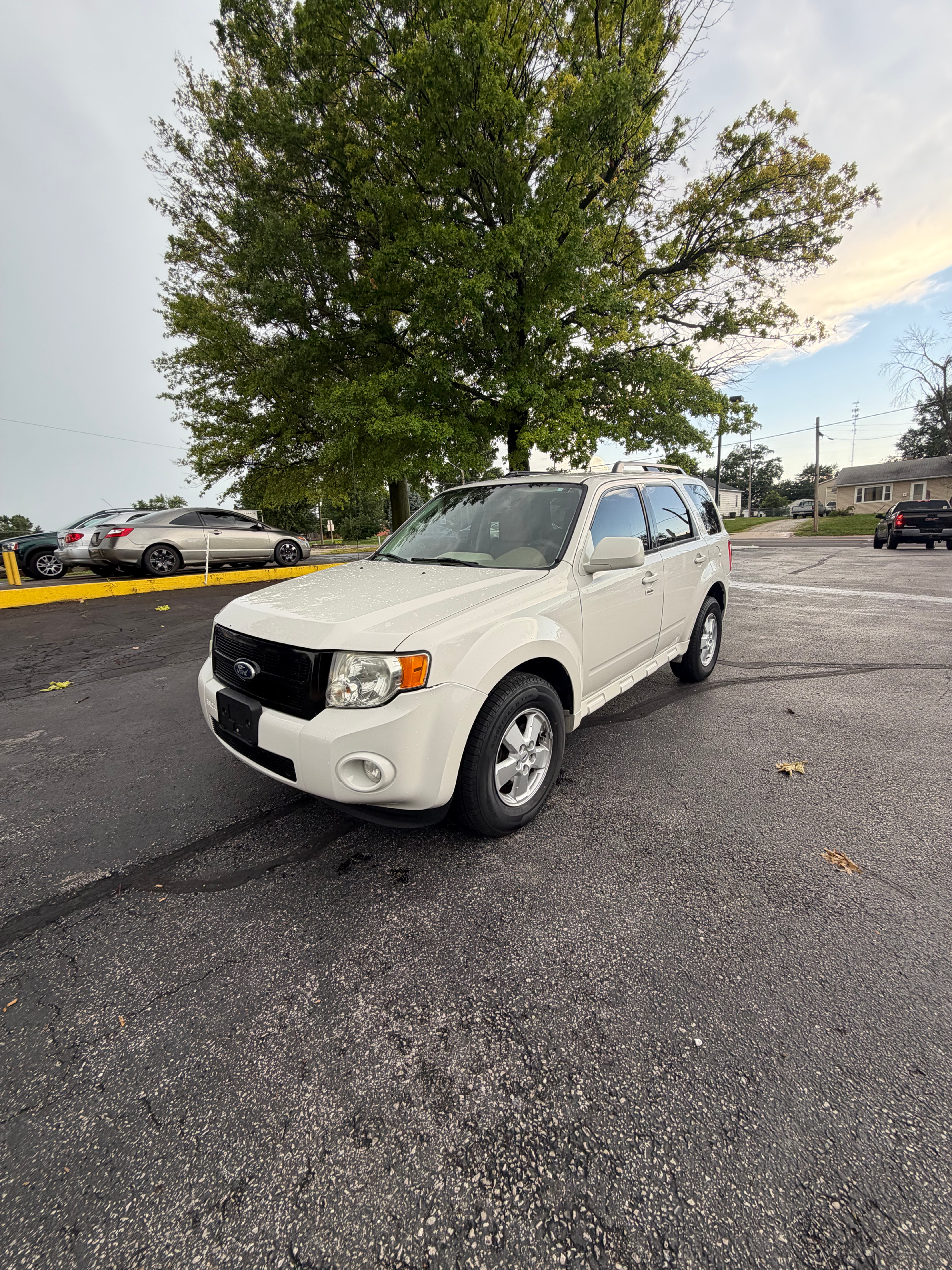 2010 Ford Escape