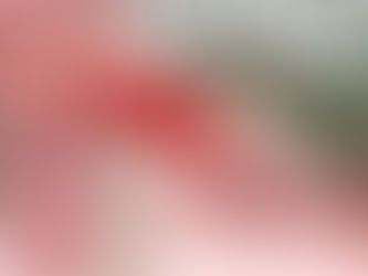 A escolha de peças delicadas no trabalho da Chanel em Haute Couture e o novo "luxo" do tempo disponível