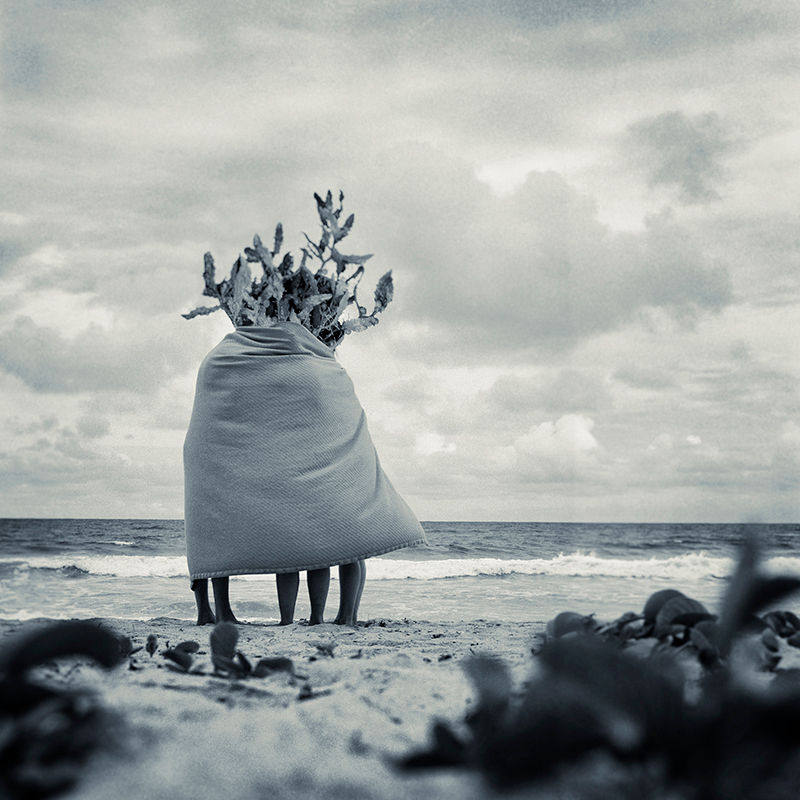 Sharon Lee Hart