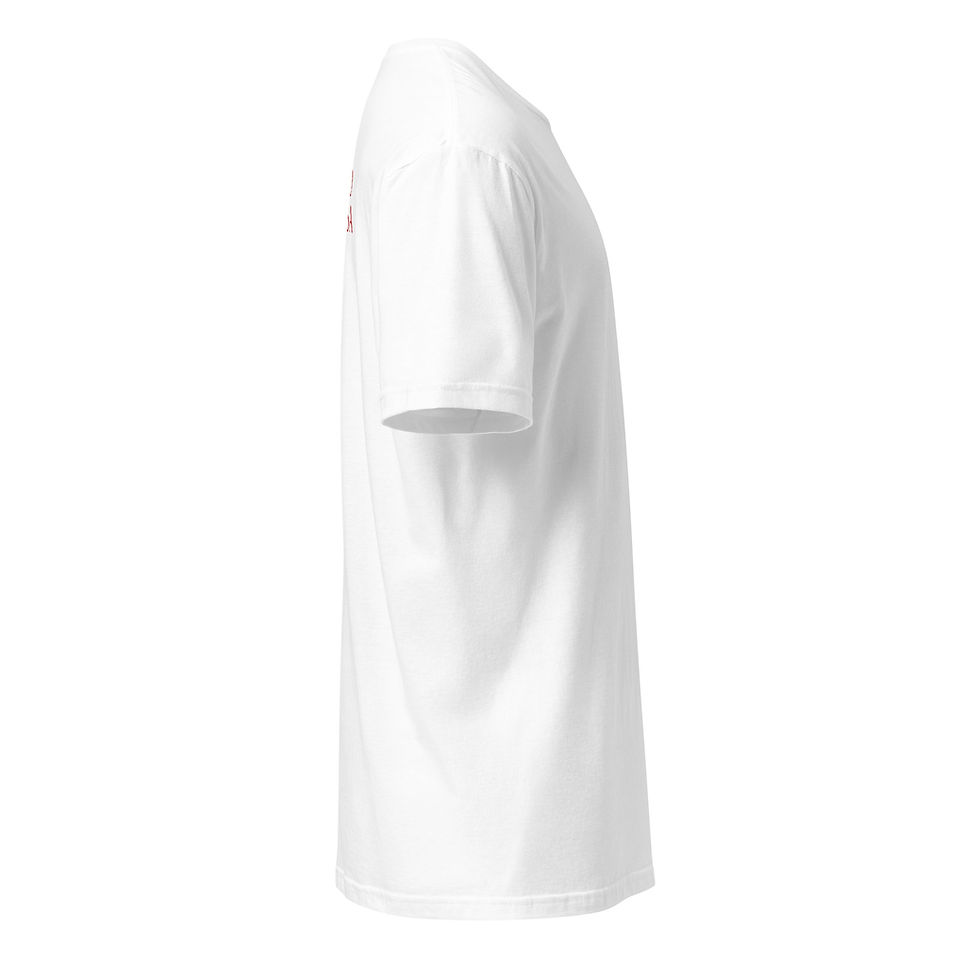 Miniatura: T-shirt - tutto passa Stampa retro