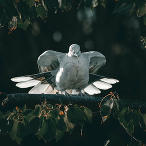 一般的ゼネコンのイメージ「えらそう」は本当か？