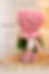 Pink Heart topiary is a sweet and thoughtful gift for those occasions where you need somethough personal and thoughtful.