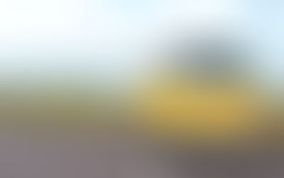 Regional Holiday Act