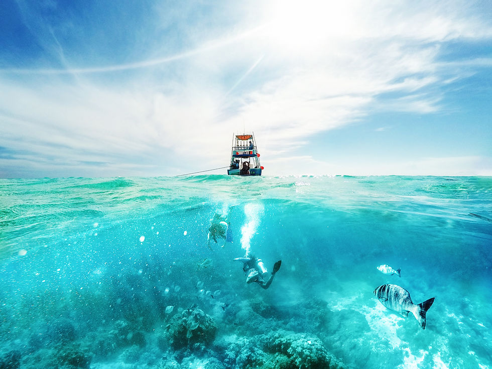 Riviera Maya is blessed with lush and varied nature.
