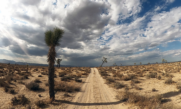 Desert_Racetrack.jpg