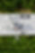 469905395_122200655354070370_6029449280879074838_n.jpg