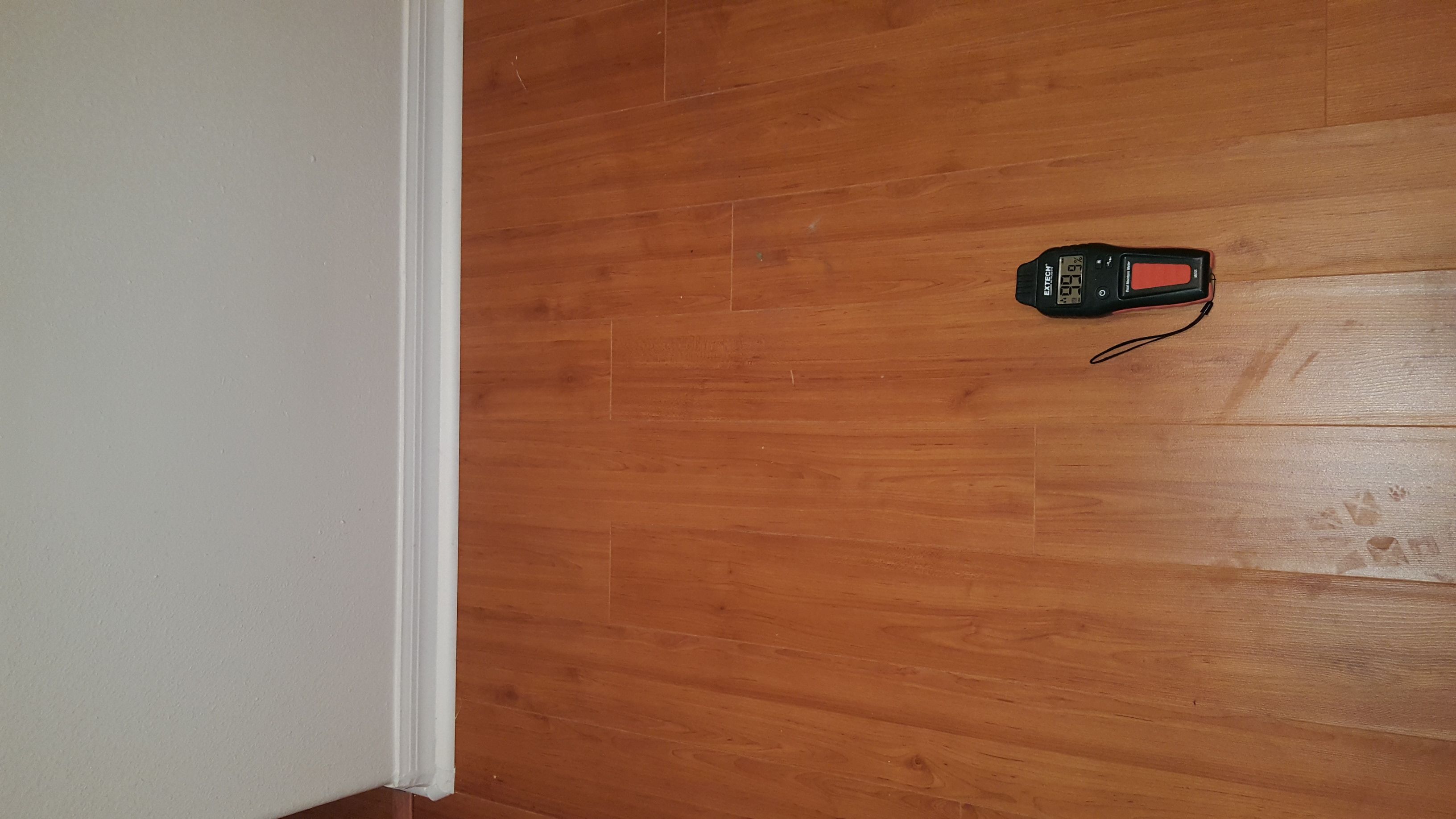 Pictures The Water Leak Detectors Minneola Fl