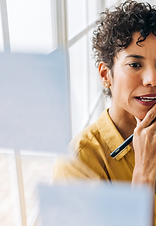 dimensionalrisk project management 