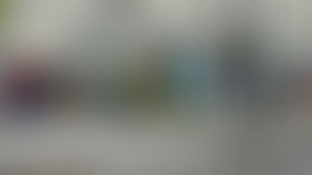 Palissade Alban Minville