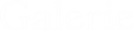 GalerieLogo_blk_edited.png