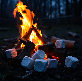 marshmellows bonfire.jpg