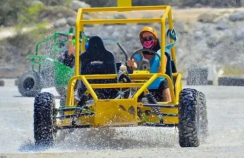 Buggies online top