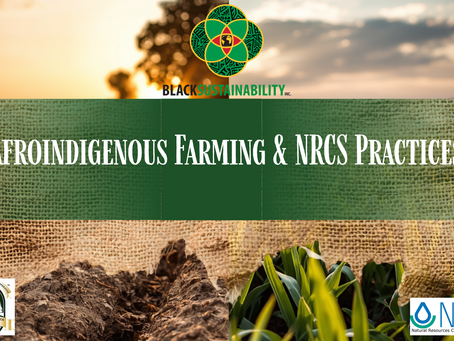 Bridging Tradition and Conservation: AfroEcology Meets NRCS + Technical Assistance