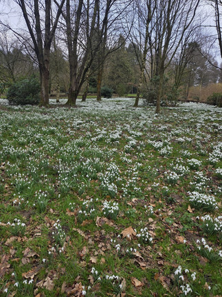 The Lovell Quinta Arboretum Walk
