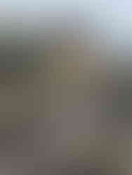 Crewe Heritage Centre