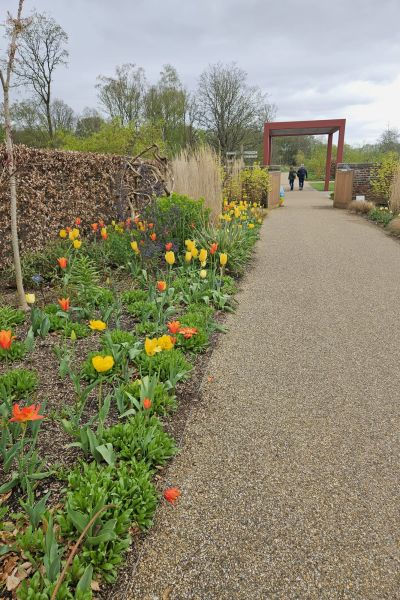 RHS Bridgewater Gardens