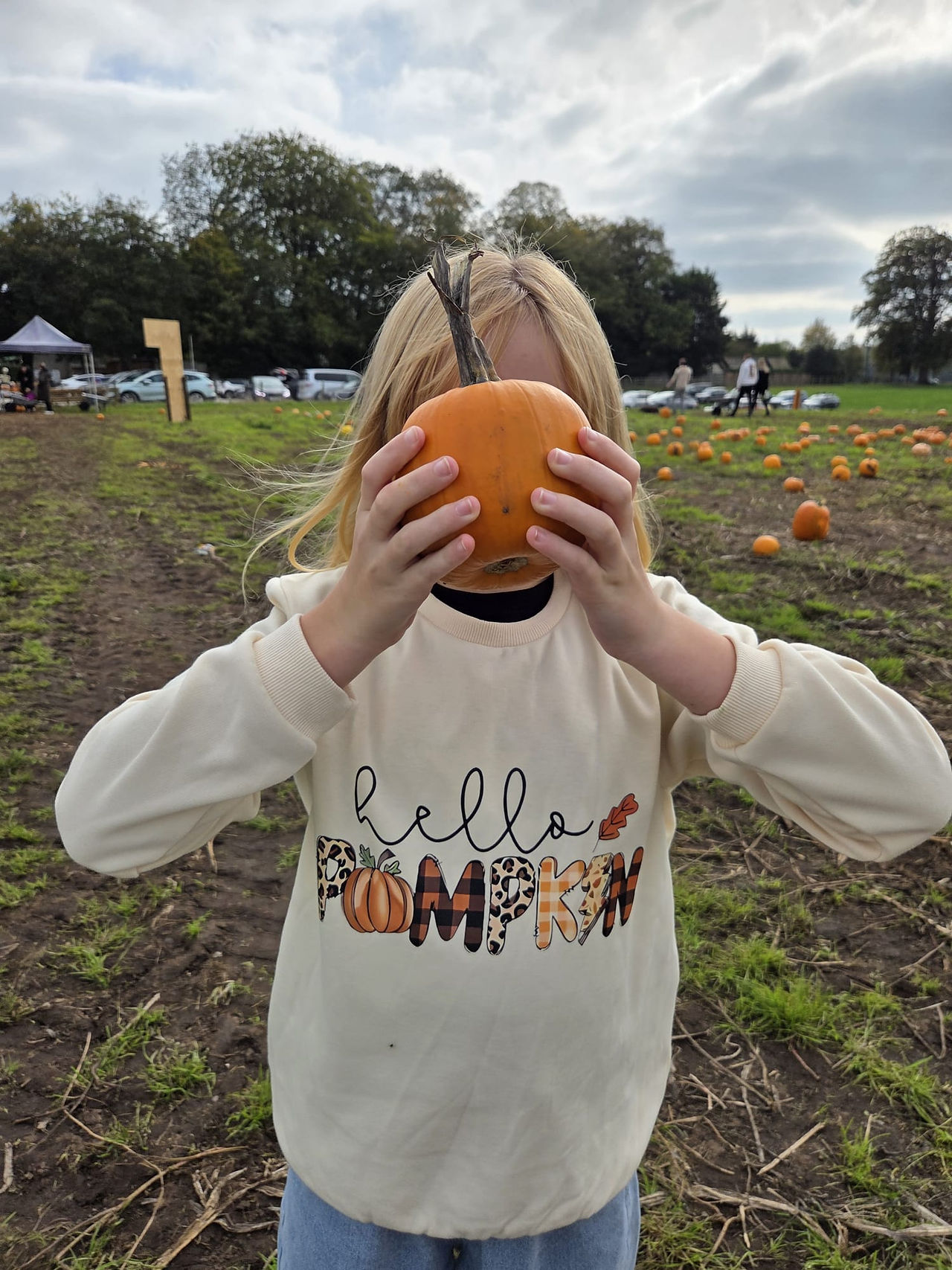 Pumpkin Festival at The Lambing Shed Farm shop 