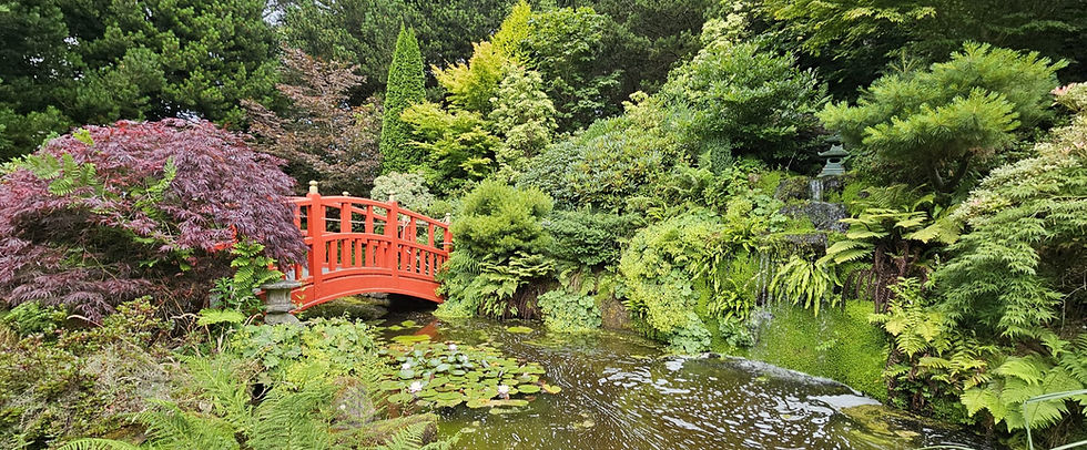 Mount Pleasant Gardens & Sculpture Trail Review