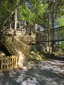 Treetop Towers