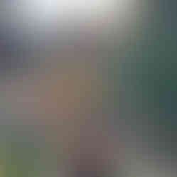 Miniature Train at Crewe Heritage Centre